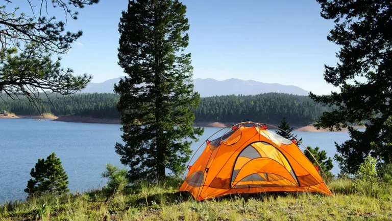 Tent Buying Guide: Selecting the Right Shelter for Every Adventure